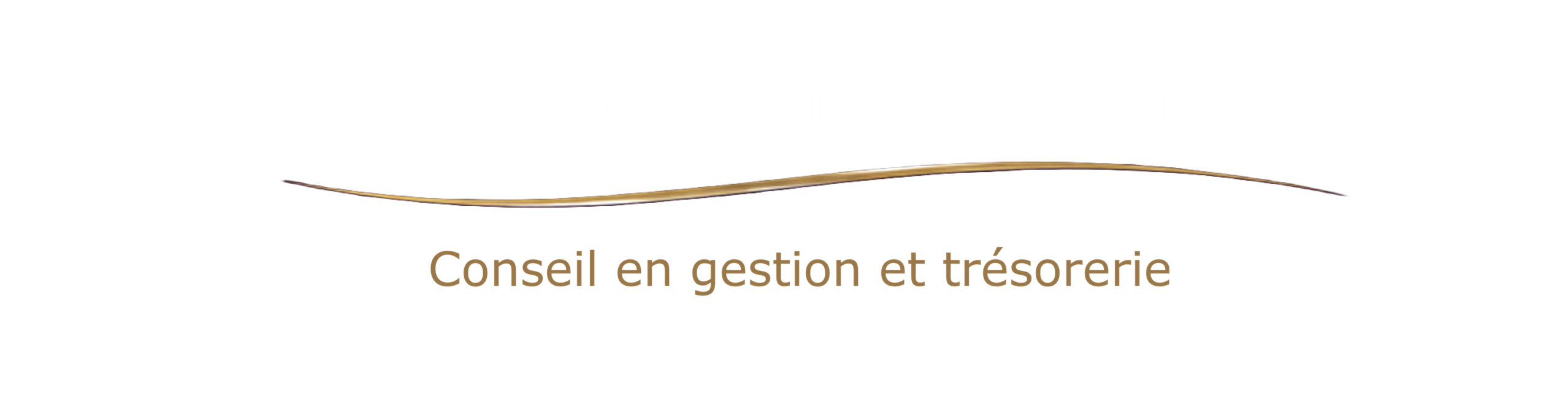 Strateg’Art Conseil — Conseil en gestion et trésorerie